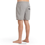 bañador de crucero carril gris Dakine hombres ropa 2VTF0X261 - Image 5