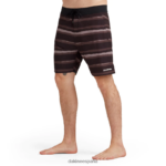 bañador misión de 19" onda hidroeléctrica Dakine hombres ropa 2VTF0X258 - Image 2