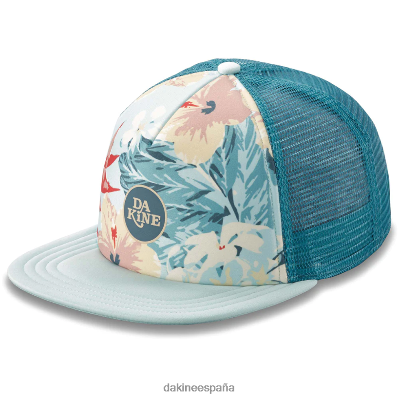 camionero_en_plena_floracion_nube_azul_dakine_mujer_accesorio_2vtf0x795.png camionero en plena floración nube azul Dakine mujer accesorio 2VTF0X795 - Image 1