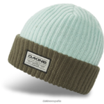 gorro alberto tórtola/piedra Dakine unisexo accesorio 2VTF0X416