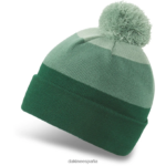 gorro jackson con pompón hiedra oscura/albahaca/verde trek Dakine unisexo accesorio 2VTF0X408